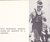 David McCandless